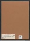 Navicula subacuta (Ehr.) Ralfs. (de-Toni-Nr.: Genus 1, Species 806) Zeichnungen Sammlung Grunow Mappe 00606 (Herbarium_W_Grunow_drawings_Folder_00606)